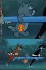 FRgCe0SaMAA-w2y.jpeg