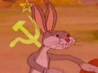 45z3w7.jpg