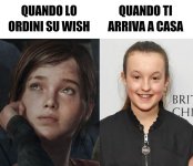Wish.jpg