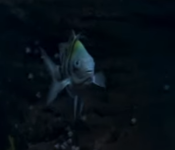 1678705460677.png