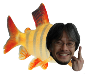 aunufish.png