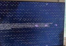 IMG_2184.jpeg