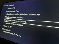 IMG_2200.jpeg