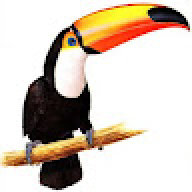 Re Tucano