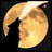 Avatar di Andrew89